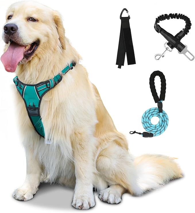 FURRYFECTION Plaid Dog Harness for Medium Dogs, Reflective No Pull Adjustable Pet Vest with Front Clip, Leash, Easy Control Handle and Seat Belt, Orlane, M