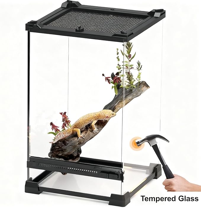 Reptile Tall Glass Terrarium Rainforest Habitat Single Door with Screen Ventilation,Small Reptile Terrarium for Spiders, Tarantulas, Snail, Mantis, Lizard (10 * 10 * 13.8 inch)
