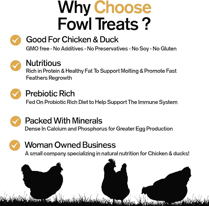 Naturally Fortified Treats ā Protein Rich Supplement Suitable for Chickens, Hens and Ducks, Hand Mixed with USA Grown Ingredients ā Equinox Blend ā 32oz