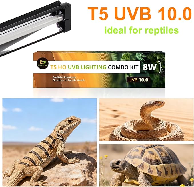 T5 UVB Light for Reptiles, 10.0 8W HO UVA UVB Reptile Light Fixture, 12 Inch Lamp Tube for Bearded Dragon, Tortoise, Lizards, Reptiles and Amphibians