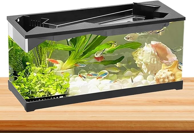 Acrylic Aquarium – Clear Cube Tank, Air Circulation Pump | Starter Kit with Lighting System, Silent Filter Housing, Desktop Pet Environment for Bedroom Studio Shelf Decor, Easy-Maintain Bow