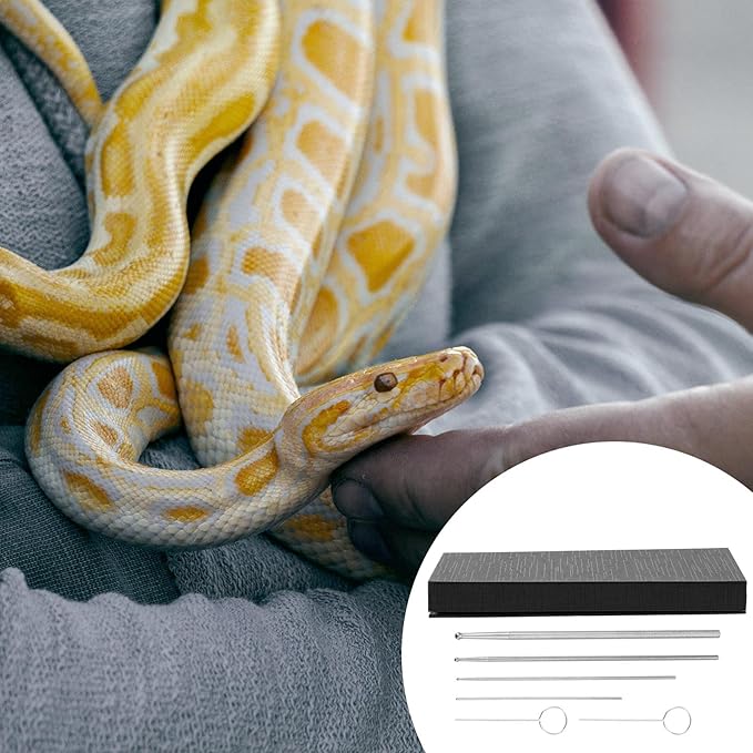 balacoo Crawling Supplies Snake Gender Detector Reptile Accessories Durable Metal Snake Tool
