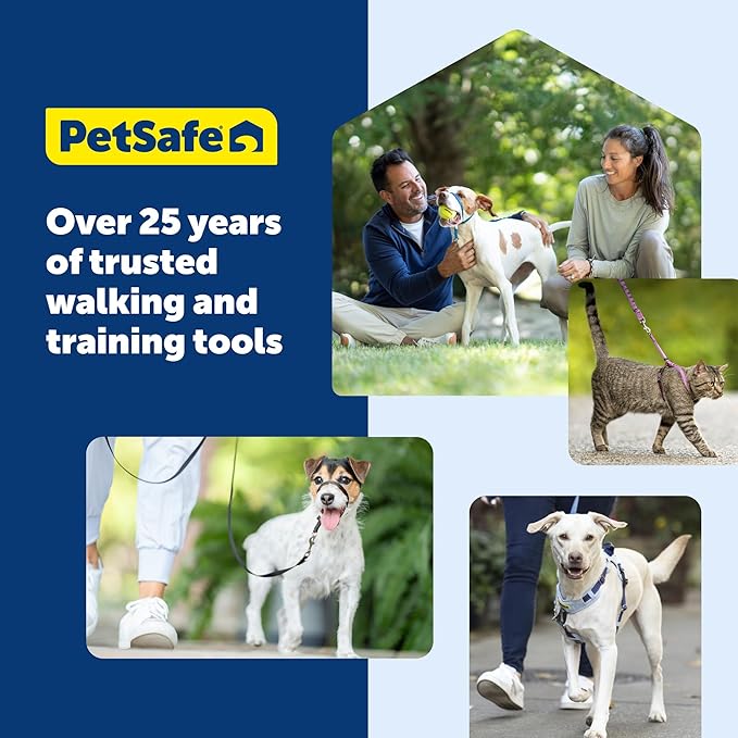 PetSafe Gentle Leader Headcollar No-Pull Dog Collar - Helps Improve Walks - Durable Nylon Construction - Padded Nose Loop - Adjustable Fit - Comfort Walking Halter - Small, Silver
