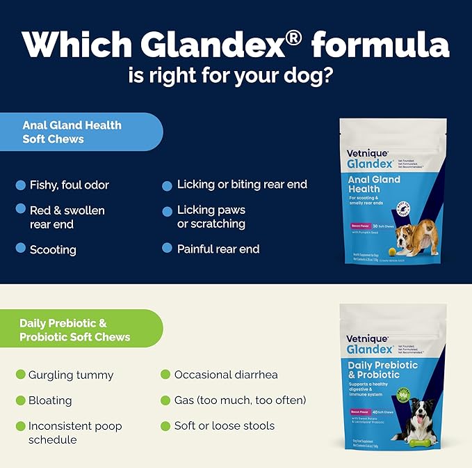 Vetnique Glandex Daily Probiotics for Dogs with Prebiotics to Support Gut Health, Diarrhea with Fiber and Digestive Enzymes, Probiotic Chews or Powders (30ct Chews, Probiotic Bacon Chews)