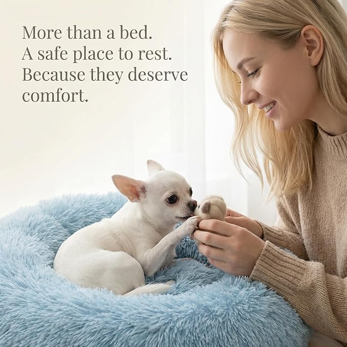 Calming Donut Dogs Beds for Small Dogs Washable,19inch Fluffy Round Puppy Bed for Puppies,Cats & Toy Breeds with Raised Rim,Fits up to 15 lbs Pets,Washed Blue