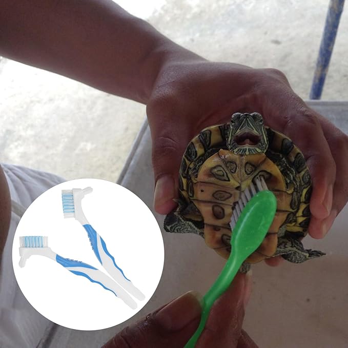 Abaodam 2pcs Portable Turtle Shell Cleaning Brush Mini Mud Remover for Aquatic Turtles and Tortoises, Blue, Practical Personal Shell Maintenance Tool for Reptile Health