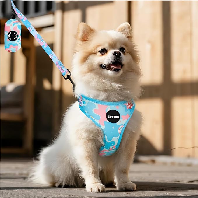 Small Dog Harness and Leash Set of 6, No Pull Soft Lightweight Mesh Puppy Harness, Adjustable Cute Floral Pattern Pet Harness for Small Medium Dogs (Blue Sea, M)