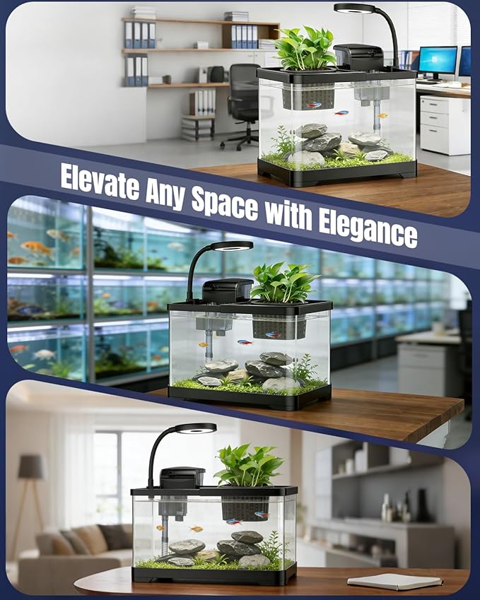 Pawfly 2.75 Gallon Fish Tank, Small Aquarium Kit, Betta Fish Tank Starter Kit with 6 W LED Light, 65 GPH Filter, Siphon Vacuum Water Changer & Basket, Aquarium for Betta, Shrim, or Small Fishes