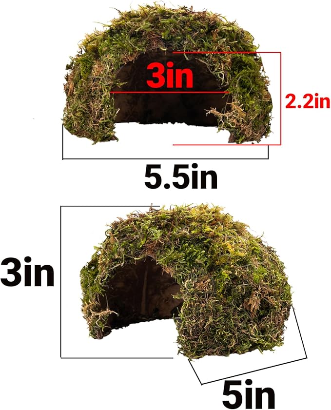 Reptile Hides and Caves – Leopard Gecko Tank Accessories, Natural Dome Reptile Cave & Shelter, Gecko Tank Accessories & Hermit Crab Shelter, Hamster Cage Accessories