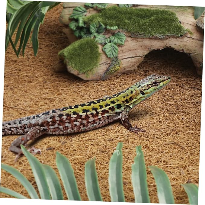 BESPORTBLE Coconut Fiber Lizard Snake Turtle Bedding Reptile Carpet Mat for Tank Insulating Pad Accessories