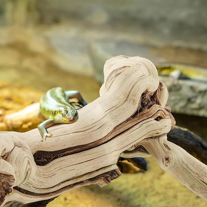 Janinka 22-24" Length Large Wood Reptile Branch for Bearded Dragon Driftwood Reptile Climbing Habitat Decoration for Terrarium Tree Trunk Ornament Gecko Frog Chameleon Spider