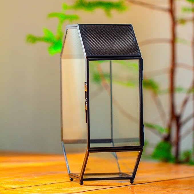 NCYP Glass Enclosure Terrarium with Mesh and Door for Spiders, Small Mantis, Jumping Spider - Octagon Shape Vented Glass Terrarium 6.2 x 3.1 x 8.7 inches, Black (Plants Not Include)