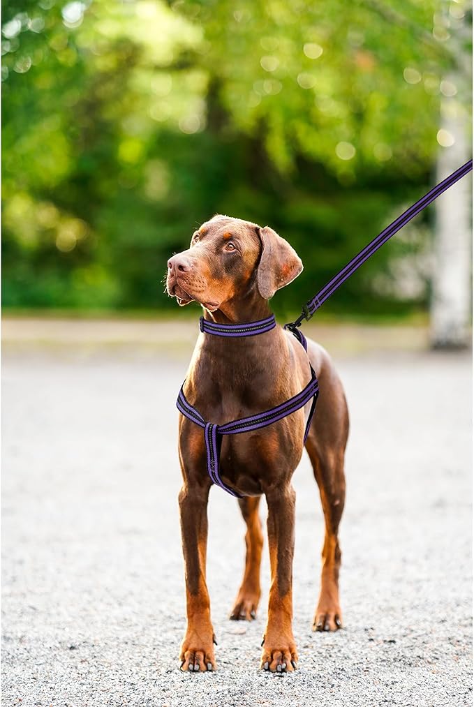 Mile High Life Night Reflective Double Adjustable Band Nylon Small Puppy Pet Dog Combo Collar Leash and Harness Set (Reflective Stripe Purple, Small (Pack of 3))
