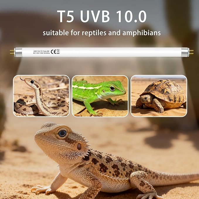 T5 10.0 UVB Light Bulb for Reptiles, 8W HO UVB Reptile Lamp Bulb, 2 Pack 12 Inch UVA UVB Fluorescent Lamp Tube for Bearded Dragon Leopard Gecko Tortoise Lizards