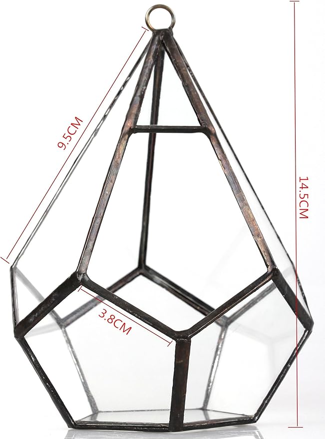 NCYP Mini Wall Hanging Glass Terrarium, 4.5 x 4.5 x 5.3 inches Diamond Shape Geometric Terrarium for Succulent Plant, Desktop Decor, Mini Centerpiece, Modern (Plants Not Included)