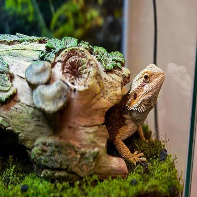 Resin Reptiles Hollow Tree Trunk Habitat Decor Reptile Log Hides Caves Bearded Dragon Hideout Cave Bark Habitats Decoration Gecko Hut for Lizard Chameleon Crested Gecko Snake Spider (3Pcs)