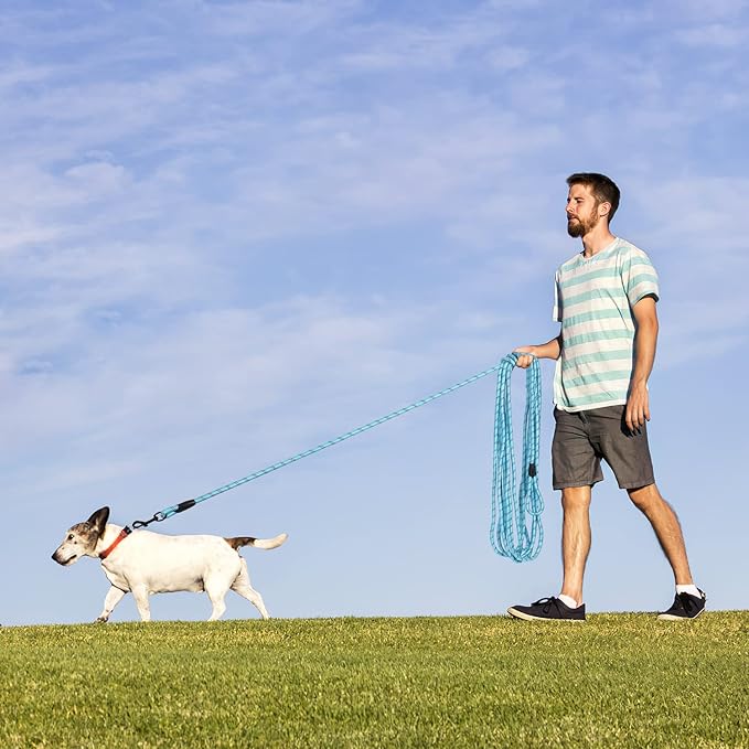 Long Dog Leash for Training 50Ft-Reflective Nylon Rope with Swivel Hook-Recall Agility Lead for Large Small Medium Dogs Outside Walking Hiking-Sky Blue Diam 1/2"