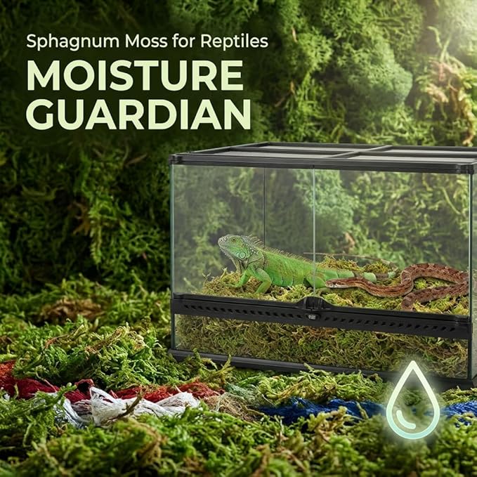 Sukh Sphagnum Moss for Reptiles -Terrarium Moss for Reptiles Peat Moss for Reptiles Habitat Bedding Moss for Snakes Turtle Frog Gecko and Other Reptiles Substrate (15.8, Ounces)