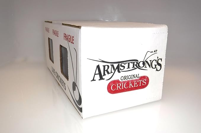 Armstrong's Original Crickets Superworms (Zophobas morio) Kingworms (Large 1.75"+) (Medium 1.25-1.74") (Medium 1.25-1.74", 1000, Count)