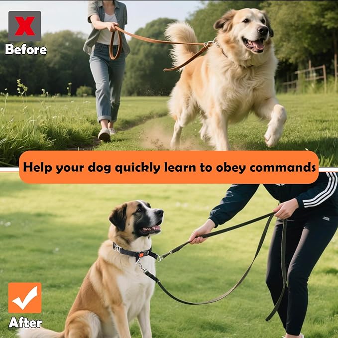 Dog Training Collar, Stainless Steel with Soft Rubber Cap, Adjustable with Quick Release Buckle (M)