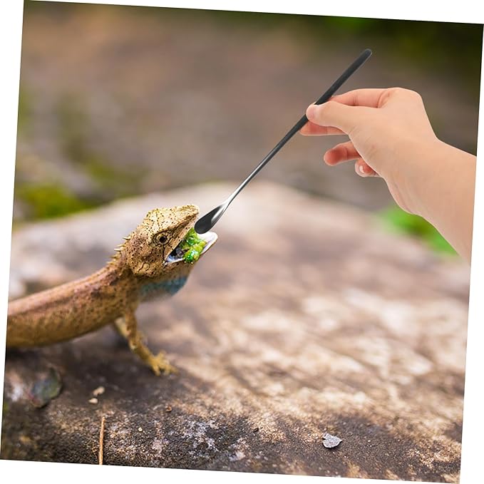 HANABASS 2pcs Stainless Steel Reptile Feeding Spoon Small Pet Food Scoop for Lizards Reptiles Easy Clean Portable