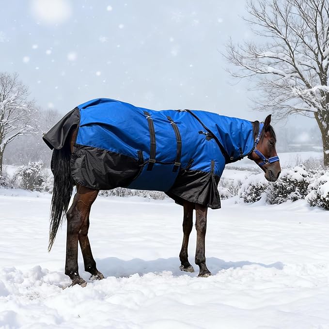 Horse Turnout Blanket, Heavy Weight Horses Blanket with 300g Poly Filling, Neck Cover & Belly Wrap, 1680D Waterproof Winter Blankets for Horses (Blue, US72 in(EU 135 cm))