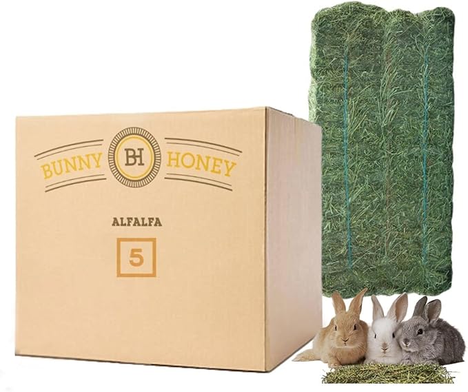 Bunny Honey Bulk Fresh Alfalfa Hay 80oz USDA Organic Alfalfa Hay for Baby Bunnies - Best Cut & Delivered Fresh - Promotes Healthy Digestive Function - 5 Pound