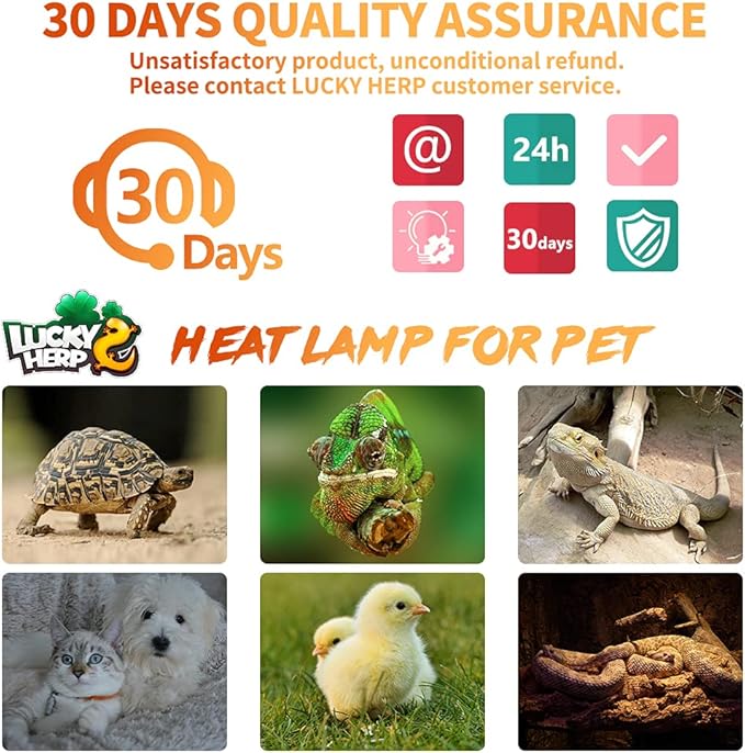 LUCKY HERP 75W Ceramic Heat Emitter, Reptile Heat Bulbs, Ceramic Heat Lamp for Reptiles, Amphibian, Chicken, Dog, Cat (2-Pack)
