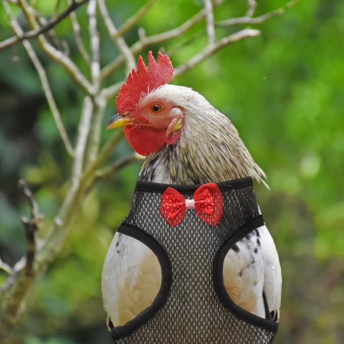 1 Set Chicken Vest Rooster Fabric Suspenders Set