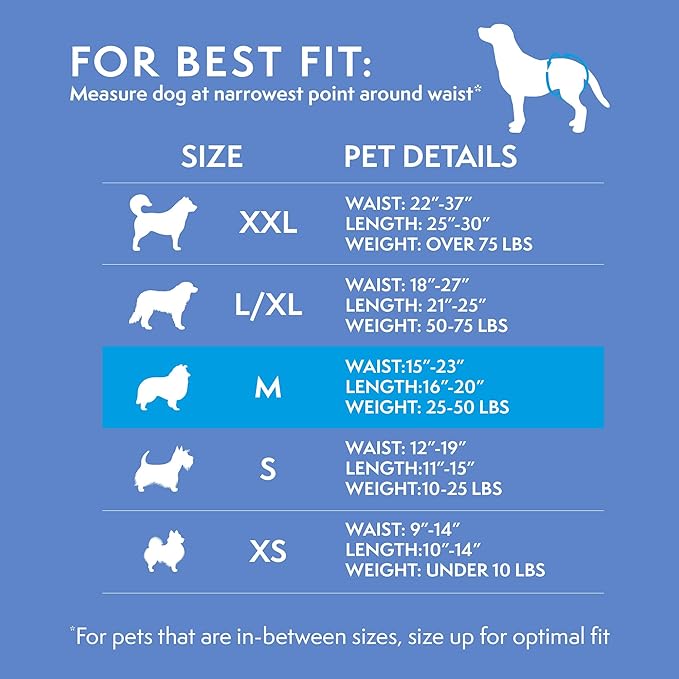 Simple Solution Dog Diapers, Medium, Female Dogs, Waist 15-23 in | Super Absorbent | Wetness Indicator | Disposable | 30 Count