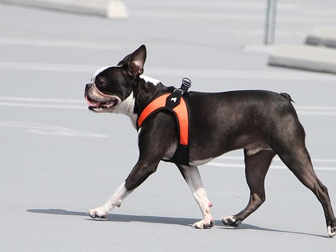 Gooby Escape Free Easy Fit Harness - Orange, Small - No Pull Step-in Patented Dog Harness with Quick Release Buckle for Small to Medium Dogs