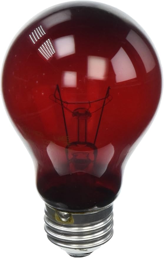 Zoo Med Nightlight Red Reptile Bulb 60 Watts (4 Pack)