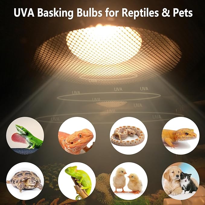 Intense 100W UVA Spotlight Heat Lamp Bulbs for Reptile Basking and Terrariums - Ideal for Desert-Dwelling Reptiles Like Bearded Dragons, Geckos, Iguanas, Lizards, Amphibians (Pack of 2)