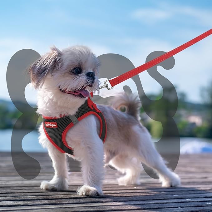rabbitgoo Dog Harness Small Sized and Leash Set, Step-in Breathable Pet Harness, Soft Walking Reflective Puppy Vest for Small Dogs, Black & Red, XXS