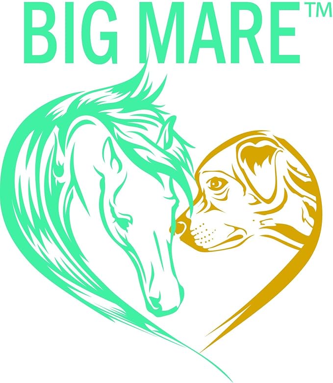 Big Mare All Purpose Horse Skin & Wound Care 32oz | First Aid: for Girth Itch, Insect & Fly Bites, Crud, Itchy Manes & Tails & Hair Loss | Vet Approved & Recommended