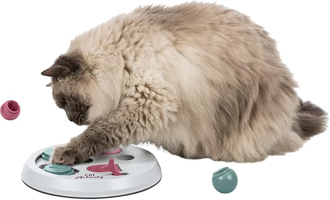 Trixie Cat Activity Flip Board ?€? 4-Module Treat Puzzle Enrichment Toy for Mental Stimulation & Slow Feeding ?€? Interactive Cat Toy for Indoor Cats ?€? Berry/Gray, 9 x 9 x 2.5 in - Image 7