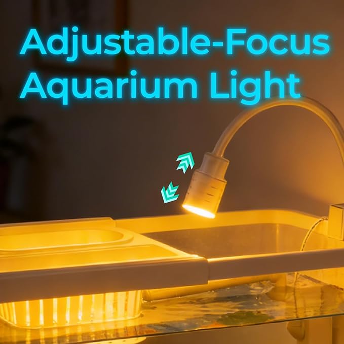 4 Gallon Fish Tank Aquarium Starter Kit with USB LED Light & Quiet Filter, Large Desktop Betta Tank with Decorations, Starter Aquarium for Home Office(Medium White)