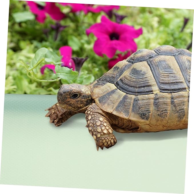 Eva Reptile Terrarium Carpet Snake Lizard Bedding Mat Bearded Dragon Accessories