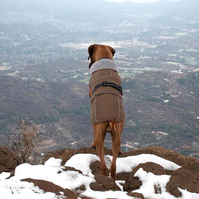 Lelepet Warm Dog Coats for Medium Dogs Waterproof Dog Jacket Reflective Pet Fleece Vest Windproof Cold Weather Coats with Adjustable Buckle & Leash Hole, Brown, M