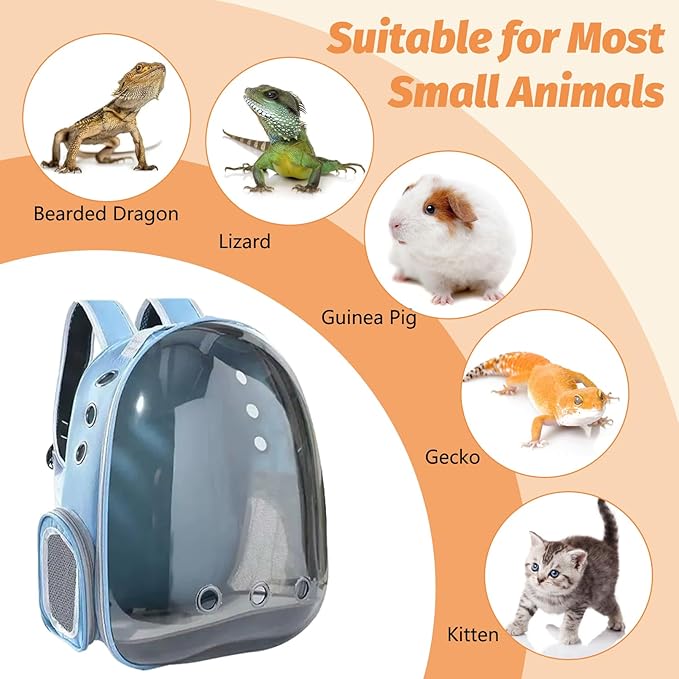 kathson Bearded Dragon Carrier with Harness and Leash Set, Large Reptile Travel Carrier Portable Lizard Backpack Clear Small Animals Carrying Bag for Gecko Hamster Rabbit Hedgehog Kitten (Blue)