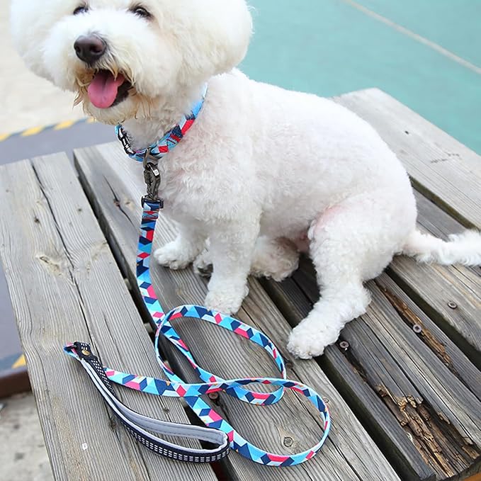 Everking Dog Leash and Collar Set with Metal Buckle, Suitable for Medium-Sized Dogs Weighing 11-20kg,Memphis Geometric Pattern Design Style, Flexible Webbing, Nylon Handle, Adjustable (Iris, M)