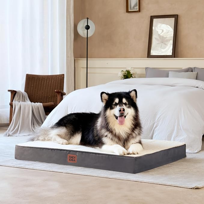 EHEYCIGA Orthopedic XL Dog Beds for Extra Large Dogs with Removable Washable Cover, Beige, 44x32