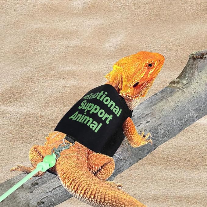 DONGKER Bearded Dragon Harness and Leash Set,Self-Adhesive Adjustable Lizards Walking Training Harness Escape Proof with 4.4ft Nylon Leash for Outdoor Indoor Walking