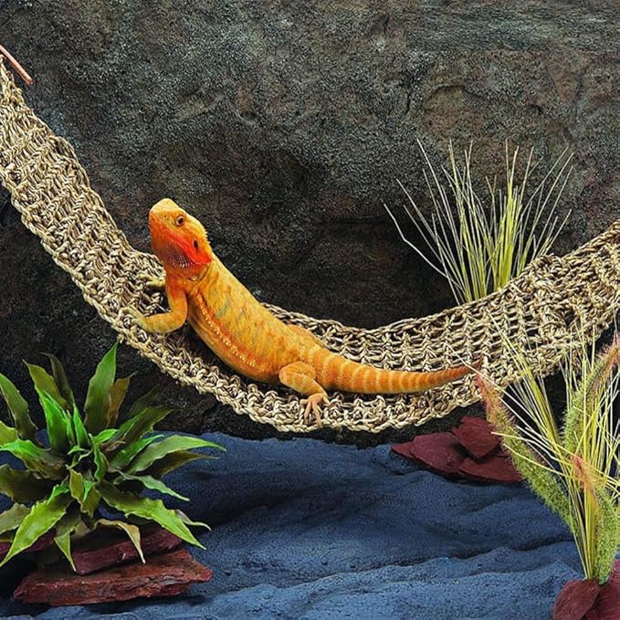 Mipcase 2Pcs Reptile Seagrass Hammock Lizard Hammock Hanging Ladder Lounger Climbing Accessories for Gecko Lizard Snake Hermit Crabs Geckos Other Small Animal Habitat Sleep Bed