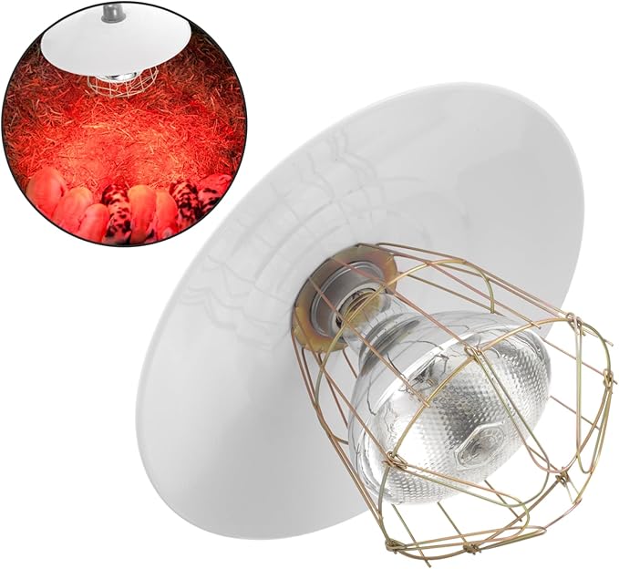 BESPORTBLE Portable Pet Heating Lamp Livestock Heat Lamp for Puppies Chicken Coop