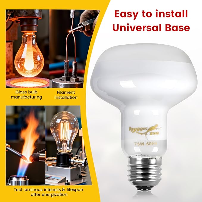 75W Reptile Heat Lamp Bulbs 2-Pack — UVA Daylight & Infrared Night Combo, Efficient Basking Light for Bearded Dragon, Lizard, Turtle, Chicken, E26 Base