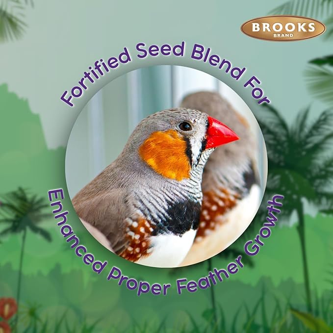 Grains Plus Finch Blend Bird Food, Nyjer Seeds, Finches Bird Seed Mix, Gold Finch Niger Seeds for Birds, Finches Food for Indoor Birds (4.5 lbs)