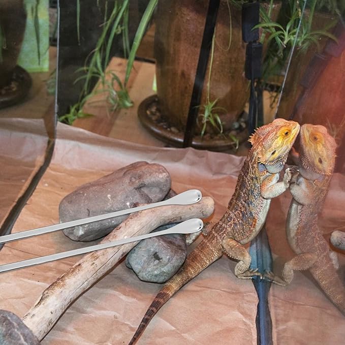 5pcs Reptile Food Spoon for Lizards Small Pet Feeding Tool Long Handle