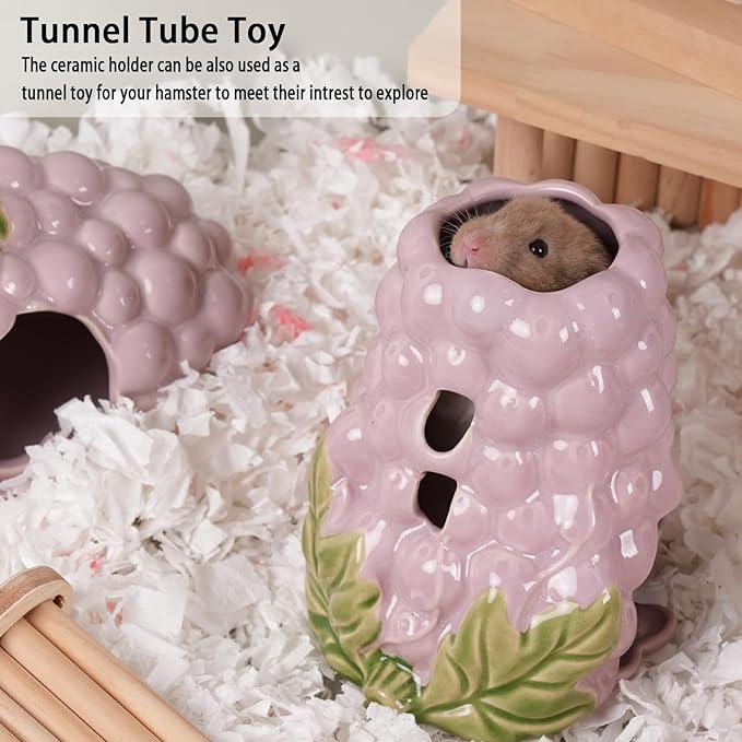 Hamster Water Bottle, Grape Ceramic Hamster Water Dispenser for Glass Tank,125ML Water Bottle Holder with 2 No Drip Caps for Syrian Mice,Gerbil