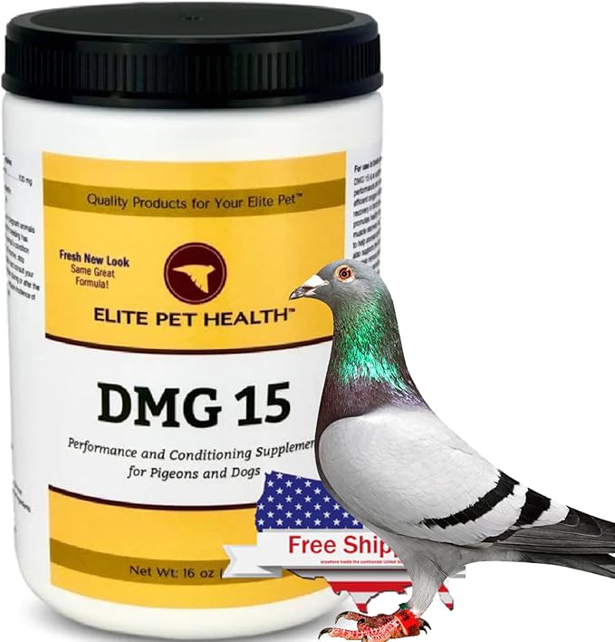 DMG15 Powerful Racing Pigeon Supplement for Enhanced Performance